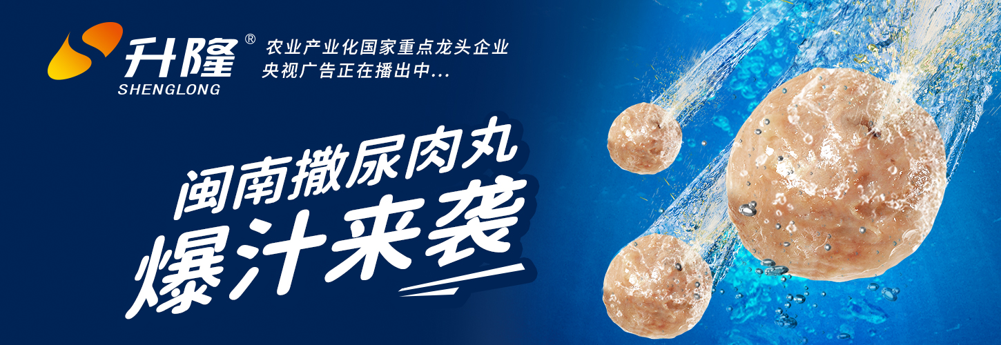 闽南撒尿肉丸